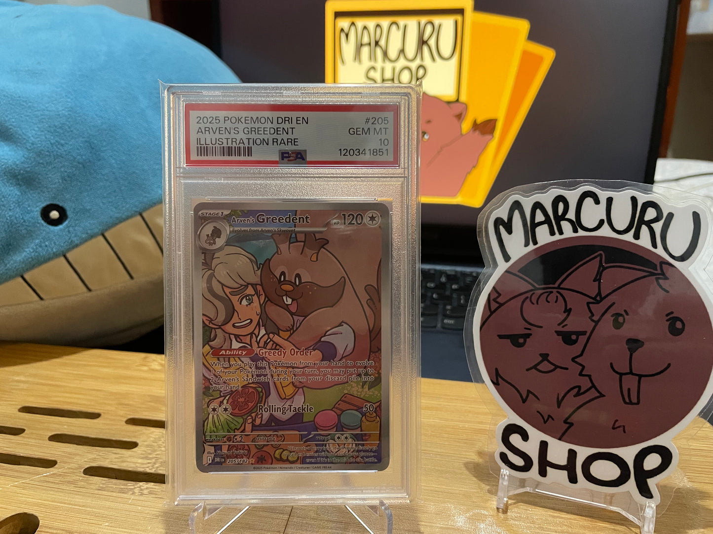 PSA 10 Arven's Greedent - 205/182 - SV10: Destined Rivals (DRI)