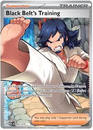 Black Belt's Training - 255/217 - Ascended Heroes